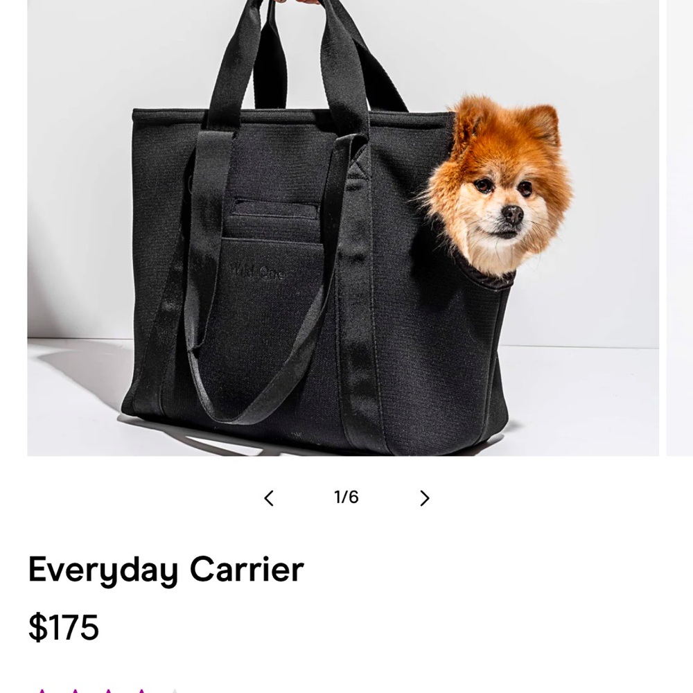 Black Everyday Carrier Tote